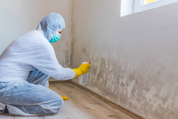 Mold Remediation specialist working in Lexington